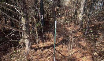 wells rd, Bald Knob, AR 72010