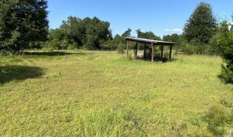 7960 NW County Road 274, Altha, FL 32421