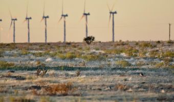 State Highway 214, Adrian, TX 79001