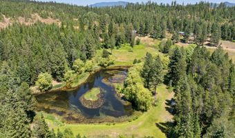 784 Twin Rivers Rd, Athol, ID 83801