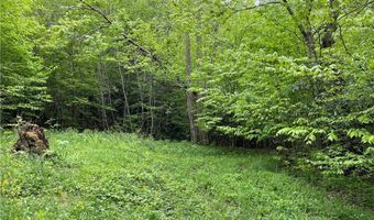 Lot 22 Meadow Avenue, Banner Elk, NC 28604