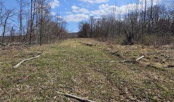 295 Shellstone Rd, Amsterdam, NY 12010