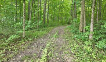 14900 Woodbridge Rd, Camden, MI 49232