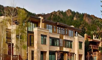 625 E Main St 204, Aspen, CO 81611