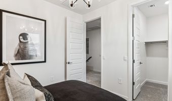 1153 E KACHINA Trl, Phoenix, AZ 85042