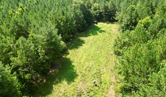 County Road 127, Banks, AL 36005