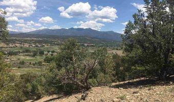 1 Pt 4 Miles Acequia Madre Del Llano B006, Arroyo Hondo, NM 87513