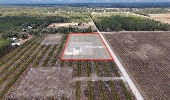 965 NW 55th Ave, Bell, FL 32619