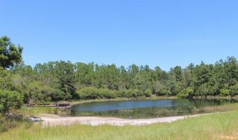 Sycamore Street, Alford, FL 32420