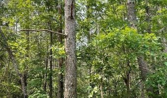 CR 1401, Booneville, MS 38829