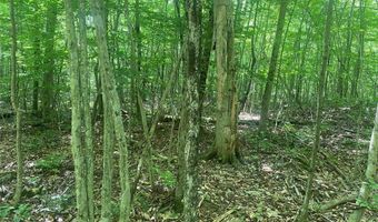 4973 Stryker Rd, Amity, NY 14813