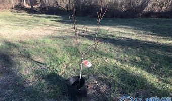 6777 Hwy 207, Anderson, AL 35610