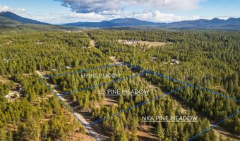 NKA Pine Meadow, Athol, ID 83801