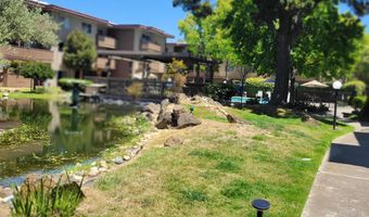 1321 Webster St D113, Alameda, CA 94501