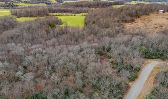 W Pheasant Chase lot 23, Ararat, VA 24053