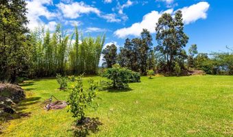 3331 KAUMANA Dr, Hilo, HI 96720