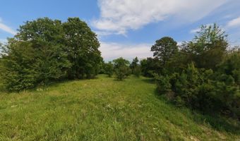 676 County Road 403, Alton, MO 65606