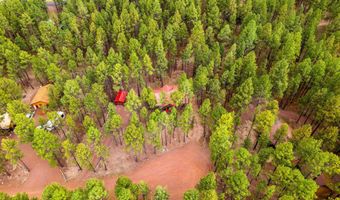 4 County Road 2089, Alpine, AZ 85920