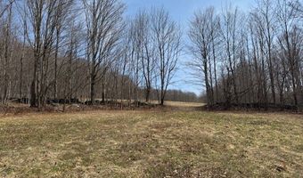 Lot 2 Doig Hollow Road, Andes, NY 13731