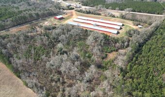 219 County Road 6628, Banks, AL 36005