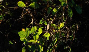 501 Caldwell Rd, Blacksburg, SC 29702