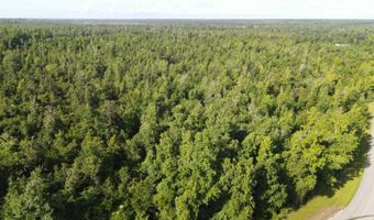NW Shuman Ferry Rd, Altha, FL 32421
