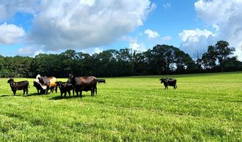 3350 SE Mount Pleasant Ln, Bogue Chitto, MS 39629