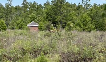 19660 NW Alice Vreeland Rd, Altha, FL 32421