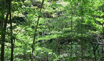 43 Sanctuary Ln, Alderson, WV 24910