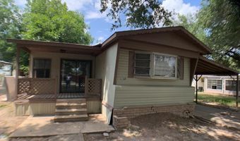1110 HARRISON Ave, Alamo, TX 78516