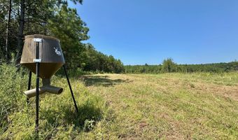 Ms-25, Brandon, MS 39047