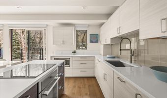 1039 E Cooper Ave 20, Aspen, CO 81611