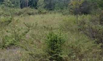 5060 Long Lake Rd, Alpena, MI 49707