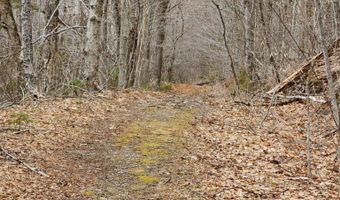 0 Clarks/Woodland Trl 409-4, Alexandria, NH 03220