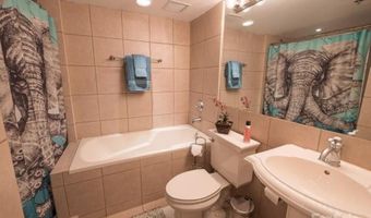 37 Hiawassee St E202, Asheville, NC 28801