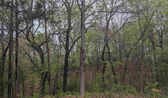 0 Lot 241 WINFREY Ln 241, Anniston, AL 36206