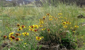 nhn Ranger Way lot Bvr 942-3, Belfry, MT 59008