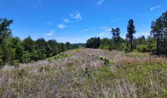 County Road 38, Autaugaville, AL 36003