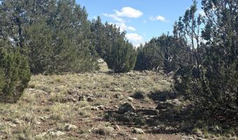 0201 County Rd, Concho, AZ 85924