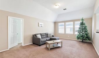 409 Niagara Falls Dr, Anna, TX 75409