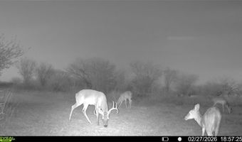 CR 119 lot 0, Alice, TX 78332
