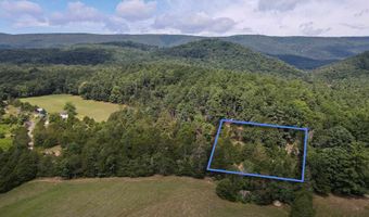 ALUM SPRINGS RD, Basye, VA 22810