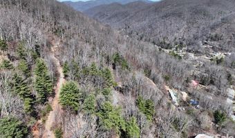 99999 Green Ridge Falls Rd 17, Barnardsville, NC 28709