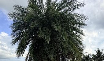 208 NW Avenue H Pl, Belle Glade, FL 33430
