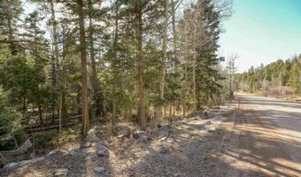 1004 And 1005 El Camino Real, Angel Fire, NM 87710