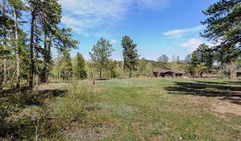 104 County Road 90, Allenspark, CO 80510