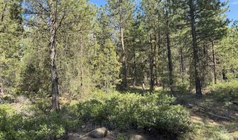 Thunderbear Road 46, Bonanza, OR 97623