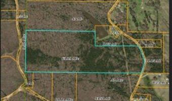 CR 225, Blue Springs, MS 38828