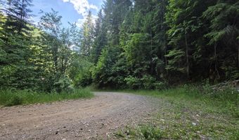 480 Dunn Peak Rd, Avery, ID 83802