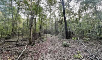 CR 225, Blue Springs, MS 38828